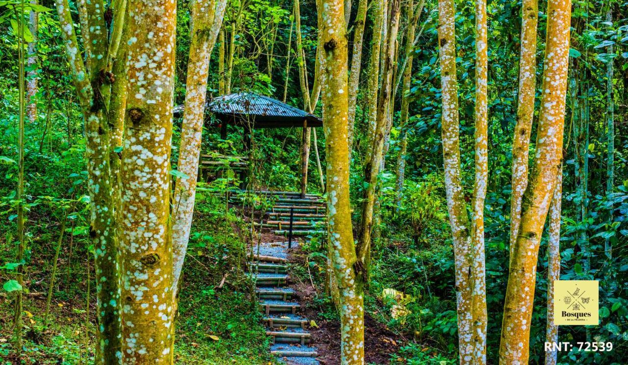 Bosques De La Pradera 호텔 마니살레스 외부 사진
